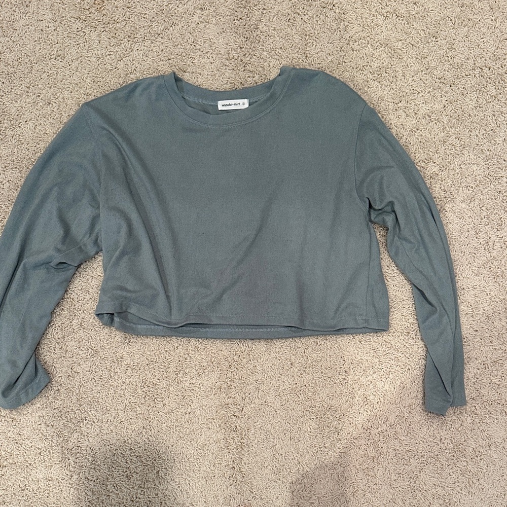 Wild Fable Teal Long Sleeve Crop Top
